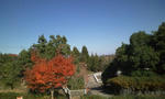 081208_5.JPG