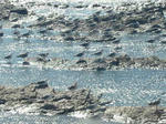 090206_3.jpg