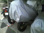 090307_9.jpg