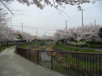090404_1.jpg