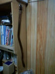 090503_01.jpg