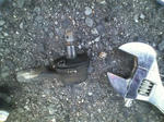 100206_6.jpg