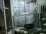110909_2.jpg