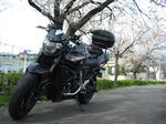 120408_4.jpg