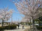 120408_5.jpg