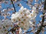 120408_6.jpg
