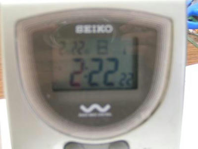 PICT0011.JPG