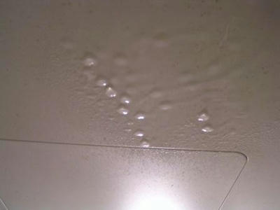 PICT0012.JPG