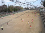 NEC_0051.JPG