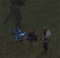 74.jpg