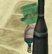 205.jpg