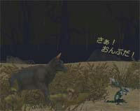 BI_023.jpg
