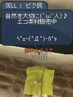 BI_061.jpg