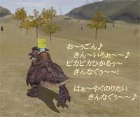 BI_064.jpg