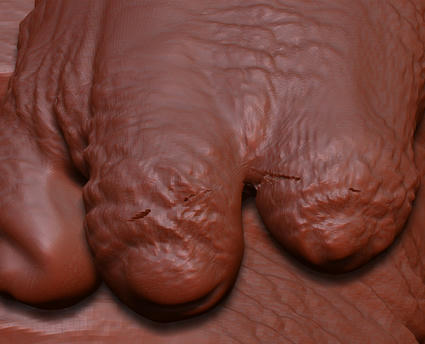 9cdc01b2.jpg