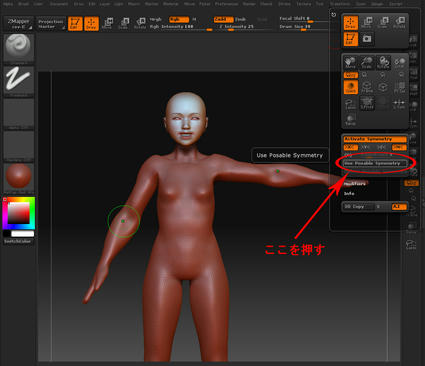 Use-Posable-Symmetry.jpg