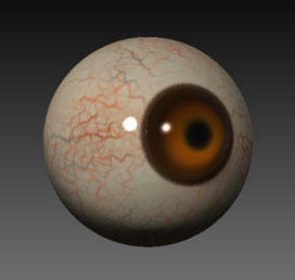 ZEye.jpg