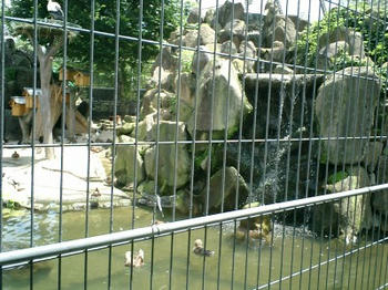 CIMG0006.jpg
