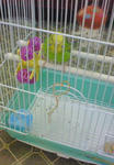 200710081525000.jpg