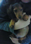 200711111756000.jpg