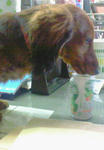 200803081534000.jpg