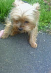 200805021627000.jpg