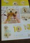 200805211725000.jpg
