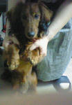 200806101737000.jpg
