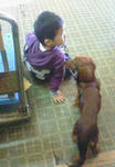 200811011412000.jpg
