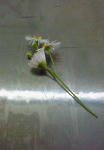 200811011303000.jpg