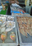 200902081200000.jpg