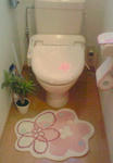 200902190629000.jpg