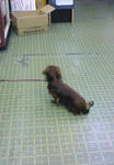 200903031835000.jpg