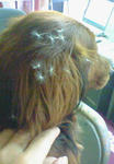 200905051445000.jpg