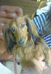 200909041854000.jpg