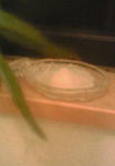200909300346000.jpg