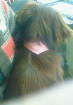 201001161427001.jpg