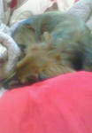 201003171612000.jpg
