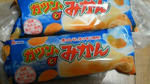 201008030146000.jpg
