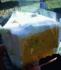 sifon.gif