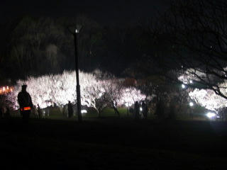 016-1.JPG