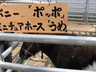 65a05331.JPG