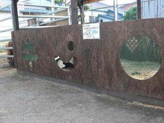 002-1.JPG