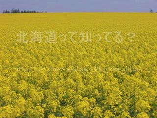 c33e633c.jpg