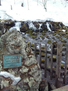 110320_144056.jpg