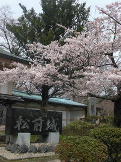 45f8f656.JPG