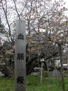 819eab8a.JPG