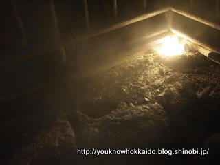 PB121091.JPG