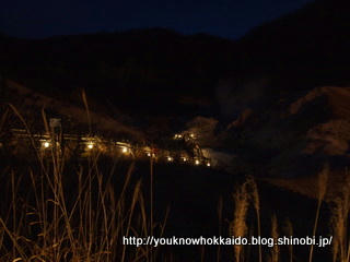PB121104.JPG