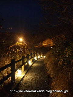 PB121111.JPG
